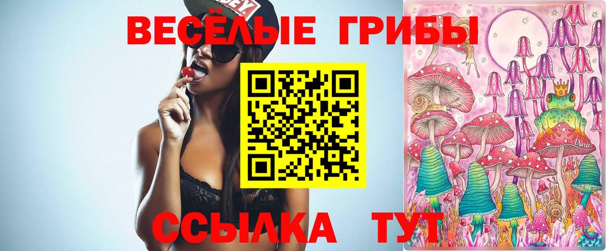 Псилоцибиновые грибы GOLDEN TEACHER Берёзовский